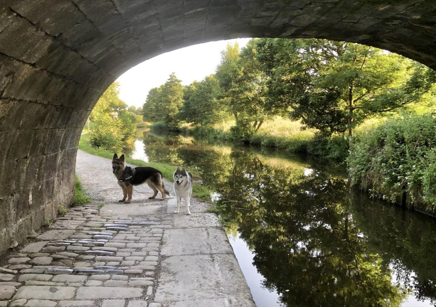 CORPORATE STAYS * Sleeps 6 / 3 BED * LONG STAYS * Dog Friendly * COLNE Colne  Eksteriør billede